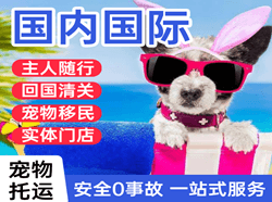 上饶三清山航空物流国际宠物托运 【国